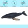 Figure "World of Marine Animals: Kit"