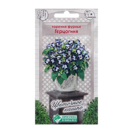 Fournier Torgeon Seeds "Duchess", 5 pcs