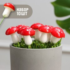 Set of plugs 