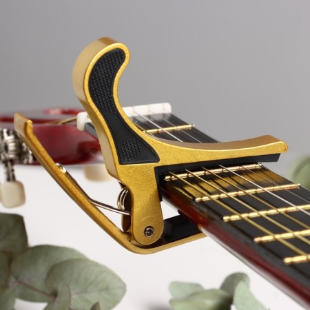 Kapodastast for Music Life Gold