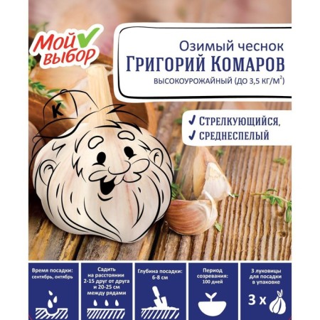 Garlic winter Grigory Komarov 30+, packaging 3 pcs-2