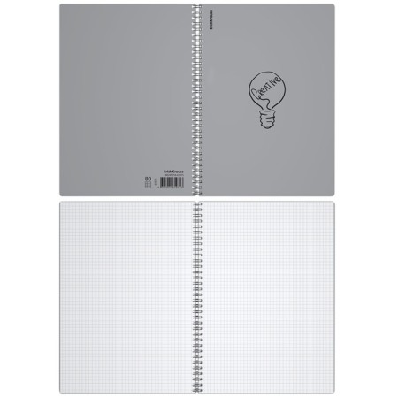 A4 notebook 80 sheets, a cage on a spiral, erichkrause, "Life style" plastic cover silver-2