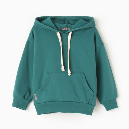 Sweatshirt for boys, launched, emerald color, height 146 cm