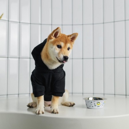 SECURITY sweatshirt for dogs (foot), size M (DS 26, Osh 36-38, OG 46-50), black-9