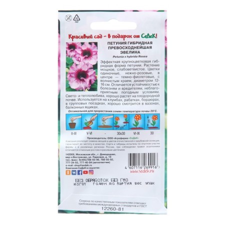Flowers of Petunia "Evelyn",-1