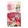 Flower seeds Iberis umbrella "mix", 0.1 g