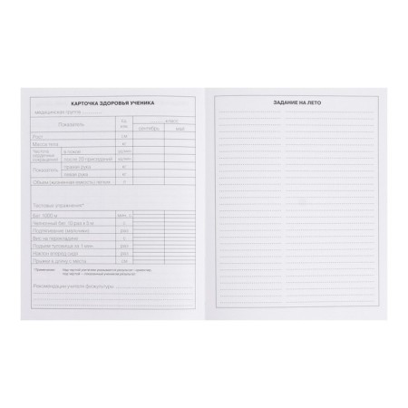 Diary for grades 5-11 "Dragon", integral cover, glossy lamination, 48 sheets-9