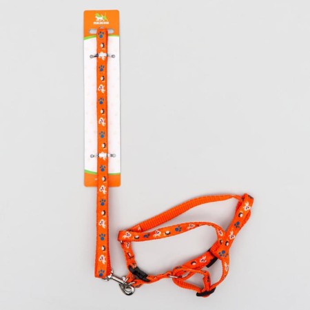AMUNICE COMMUNICATION "DOGA", leash 120 x 1 cm, OG 27-42 cm, orange-5