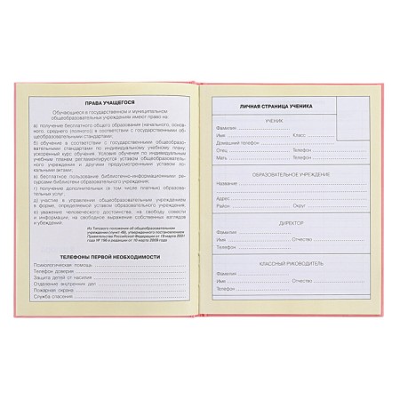 Diary for grades 1-4, solid cover "Girlfriends", matte lamination, selective varnish, block 60 g/m2-5