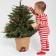 Combineson crumb I am "deer", height 68-74 cm, red/white color