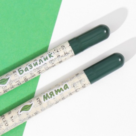 Growing gift pencils Mini "Basil + Mint" set 2 pcs.-4
