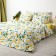Bed linen 2pas Night is delicate lemon 175x215cm, 180x215cm, 70x70cm 2pcs, Poplin 110g HL100%