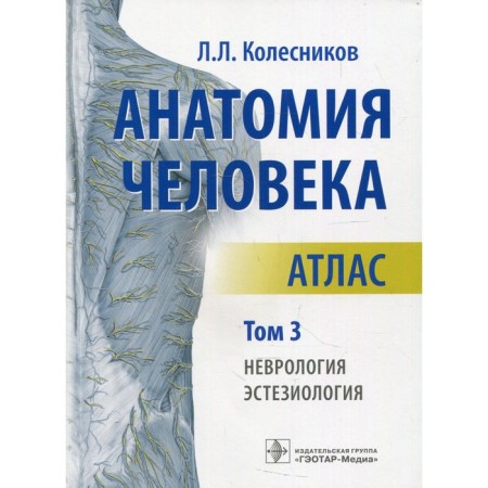 Human anatomy. In 3 volumes. Volume 3. Neurology, aesthesiology. Kolesnikov L.L.