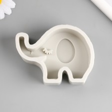 Mold Silicon 