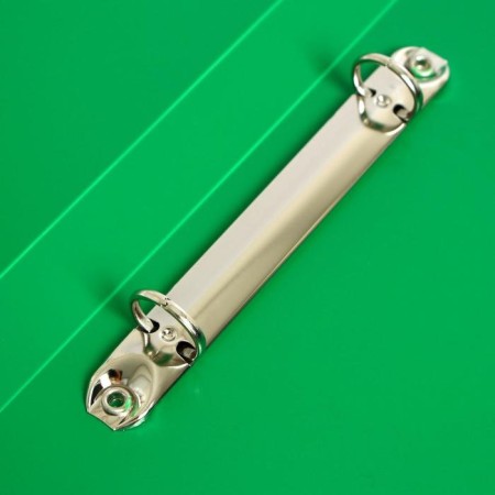 Folder on 2 rings A4, calligrata, 18 mm, 500 μm, green-2