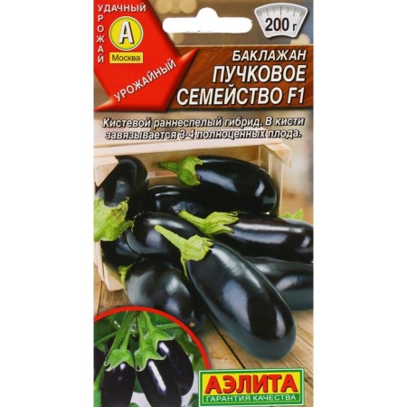 Eggplant Seeds "Board Famy F1" Aelita Early Ned, Rare, Rare, Subtle, without bitterness