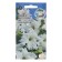 Flowers of Petunia "Wedding", Euro, 10 pcs
