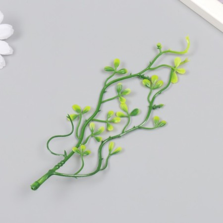 Artificial plant for creativity "Peperomy of Toolite" set of 6 pcs 17 cm-2