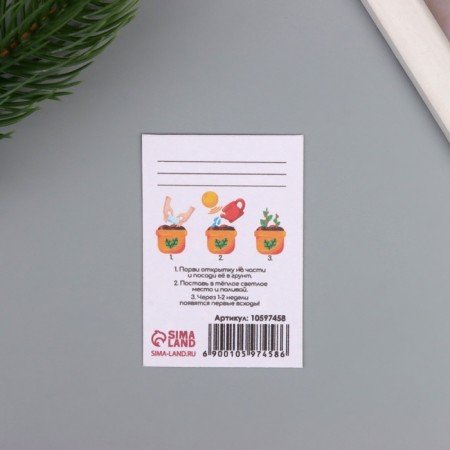A postcard with the seeds "grow itself" "is made manually only for you" 5*7cm-2