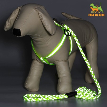 Set "braid", fluorescent, harness 32-48 cm, leash 115 x 1 cm, green