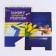 Glider - box "The best teacher", 50 sheets, 16x15x12 cm