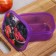 Lunch box "Berries", 500 ml