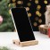 Steam for the smartphone "Gorynych"