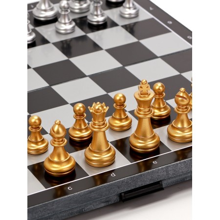 Magnetic chess 28 x 28 cm, King H-4.9 cm, Pig H-2.4 cm-4