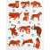 Kitchen towel Diva Afrodita "Tigers", 360 gr, size 40x60 cm