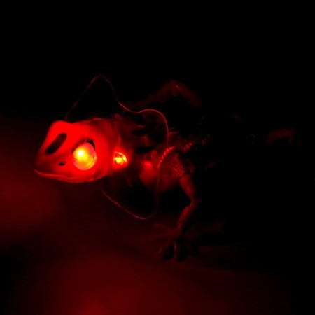 Lizard "gears", light, works from batteries, red color-3