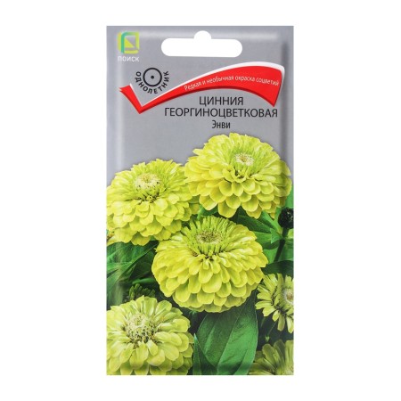 Seeds of Tsinniy dahlia dahlia ENVI (CV) ("1) 0.4g.
