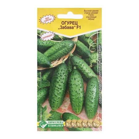 Seeds Cucumber Backs Fun F1, 8 pcs