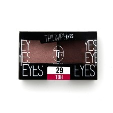 TF Eyes Eye Shadows, 2-Flower, Tone 29 Dusty Pink and Chocolate