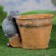 Figure pot "Hare at the pot" 17cm