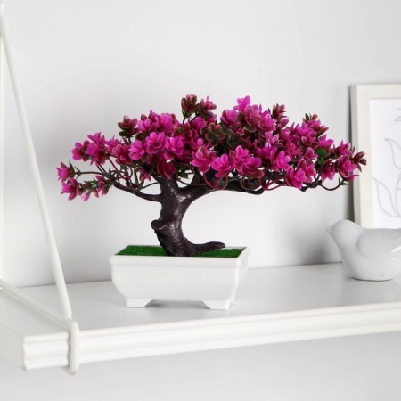 Bonsai in the pot "Lotus tree" 10.5x17 cm, mix