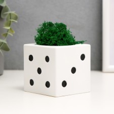 Concrete Kashpo 