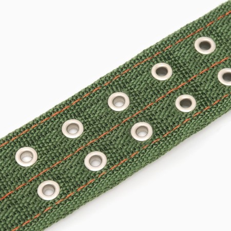 The collar is four-layer, 80 x 4.9 cm, Osh 65-75 cm, polyester, green-5