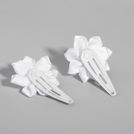 Hair hair clip, 2 pieces, Winx-2