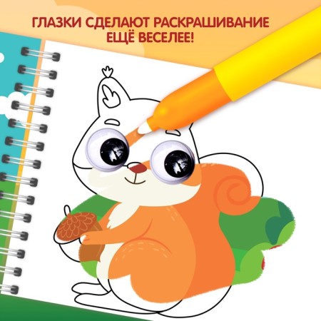 Water coloring “Draw water. Forest animals "-2