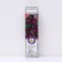 Clematis large -flowered "Warsaw Nike" 1 pc, tube, spring 2025