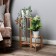 Stage-Column for Flower Flower Flora 49x36x26 cm, for decoration