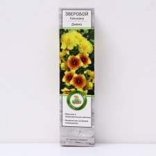 St. John's wort Calmianum 