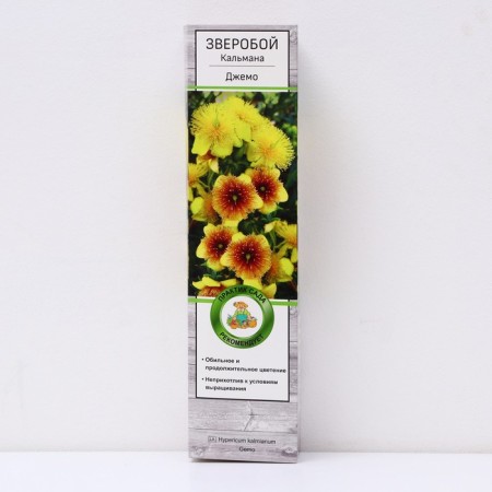 St. John's wort Calmianum "Jemo", 1 pc, tube, spring 2025