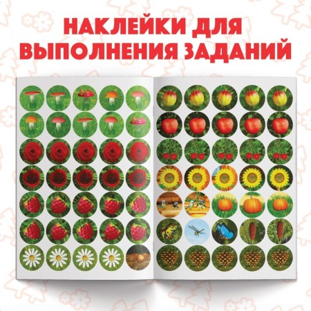 A set of books with chering stickers, 4 pcs. 16 pp., A5, Masha and the bear-3