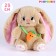 Soft toy "Bunny", with carrots, 25 cm