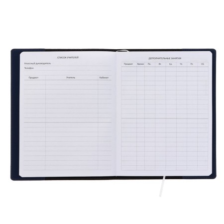 Universal diary for grade 1-11 Blue, soft cover, artificial leather, thermo embossing, liesse, 80 g/m2-3
