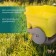 Seeder for seeds, fertilizers, bulk, universal, "mill", Greengo