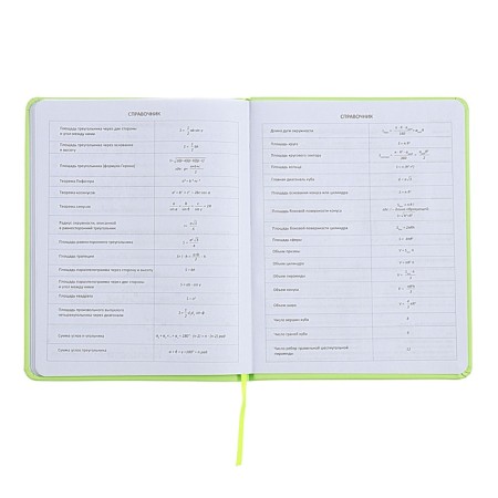 Universal diary for grade 1-11 Capybara, hard cover, artificial leather, silkography, lies, 80 g/m2-8
