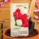 Bogony flowers "Queen", F1, forever flowering, terry, mixture, granules, 4 pcs