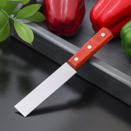 Нож для мяса и стейков Доляна «Мачете», лезвие 10 см-5